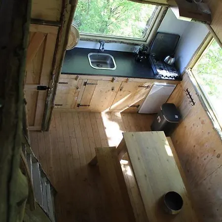 Boomhut Кемпинг